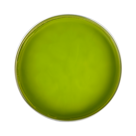 Womanizer Pomade Green Sailor HARD 90ml, Ölbasiert2