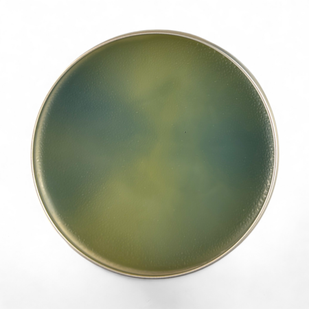 Womanizer Pomade Mysterious Paintings MEDIUM 90ml, Ölbasiert3