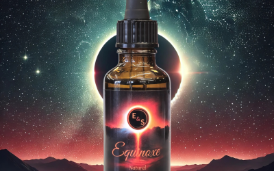 E&S Rasage Bartöl Equinoxe 30ml6