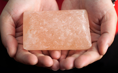 Ancient Wisdom Deodorant Salz Stein 285g7